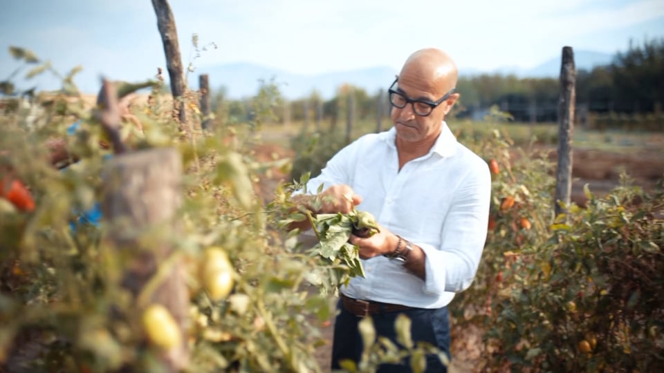 Stanley Tucci's Searching for Italy 