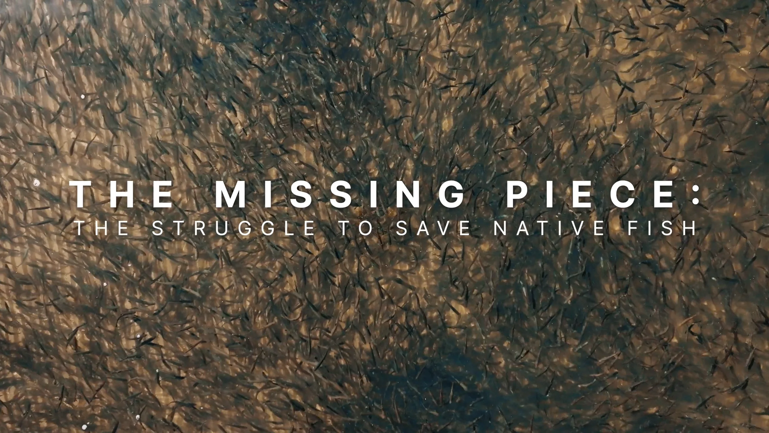 The Missing Piece (Final) on Vimeo(01)