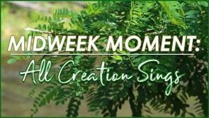 Midweek Moment: All Creation Sings