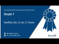 Novillas de los 23 a los 27 meses