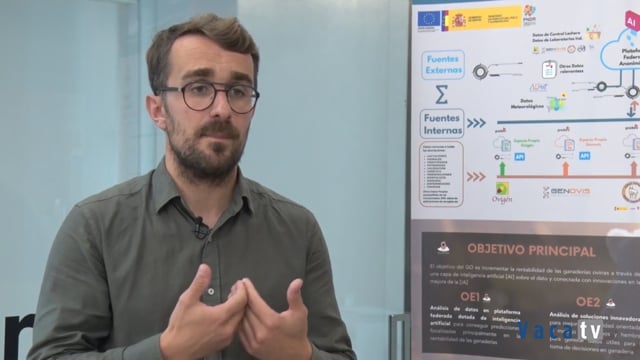Proxecto GC4SHEEP para a mellora xenética e reprodutiva do ovino leiteio nacional