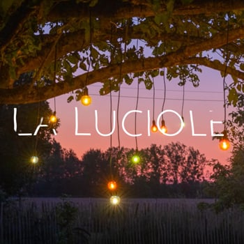 Video: Multicolored Luciole Guinguette string light - 15m