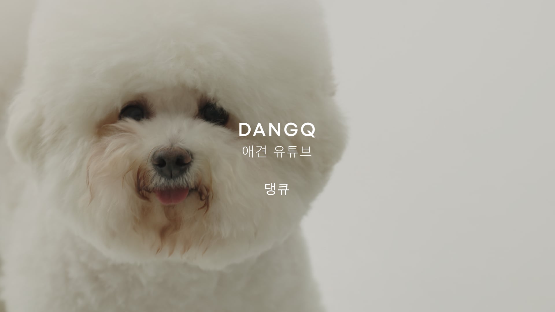 DANGQ