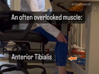 If you walk, run or hike, you need to train this muscle!