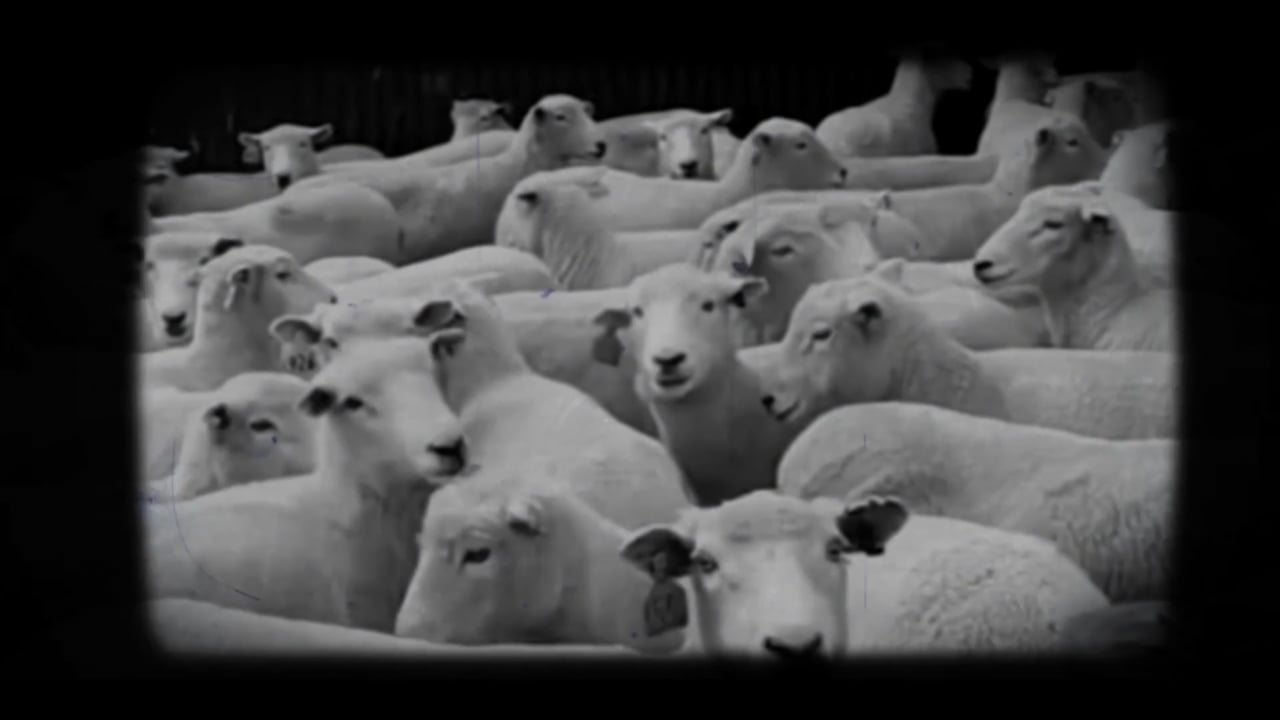 Watch Ron Brunk - NOW REPEATING on our Free Roku Channel