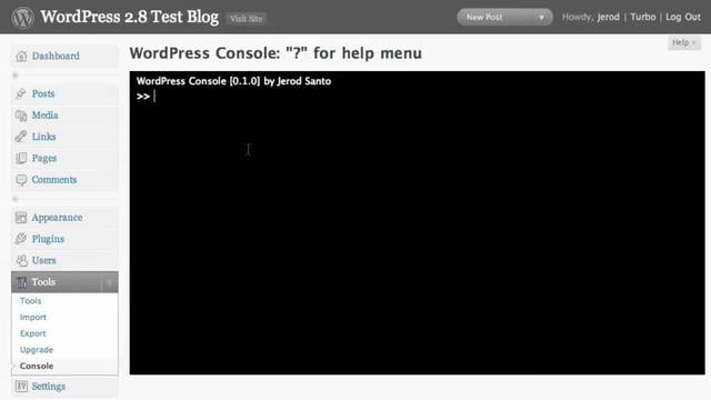 WordPress Console Introduction