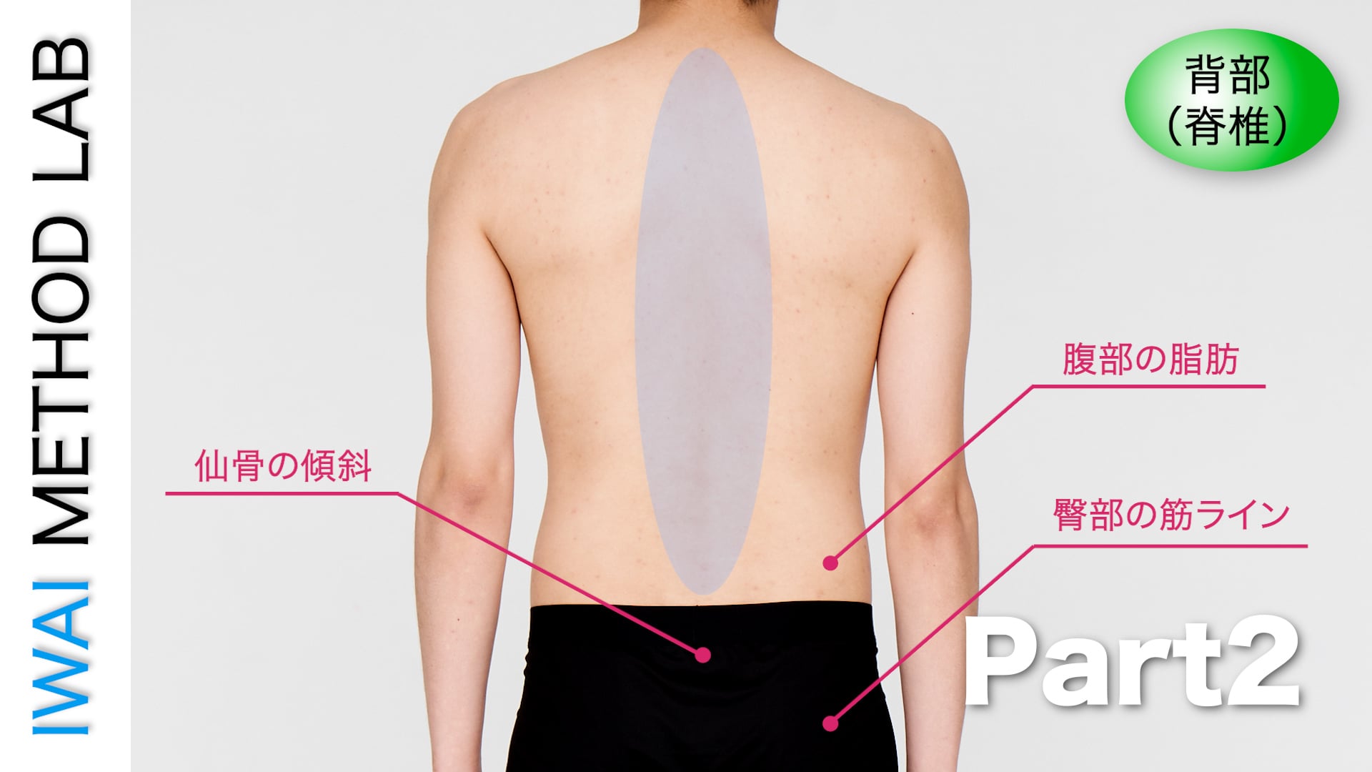 オンライン実技講習：「背部疾患改善テクニック（part 2）」