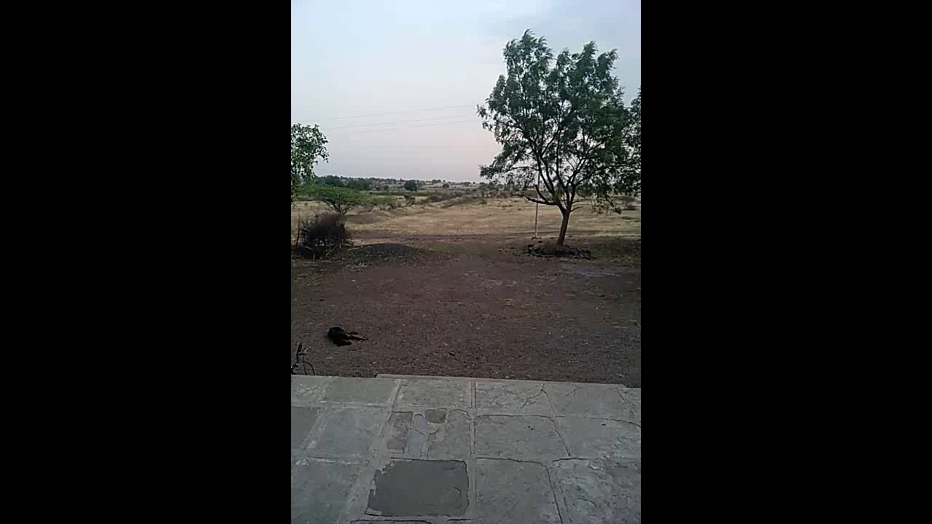 sgjk@pabanakumara #crime 