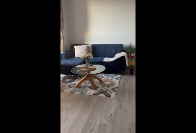 Video 1: