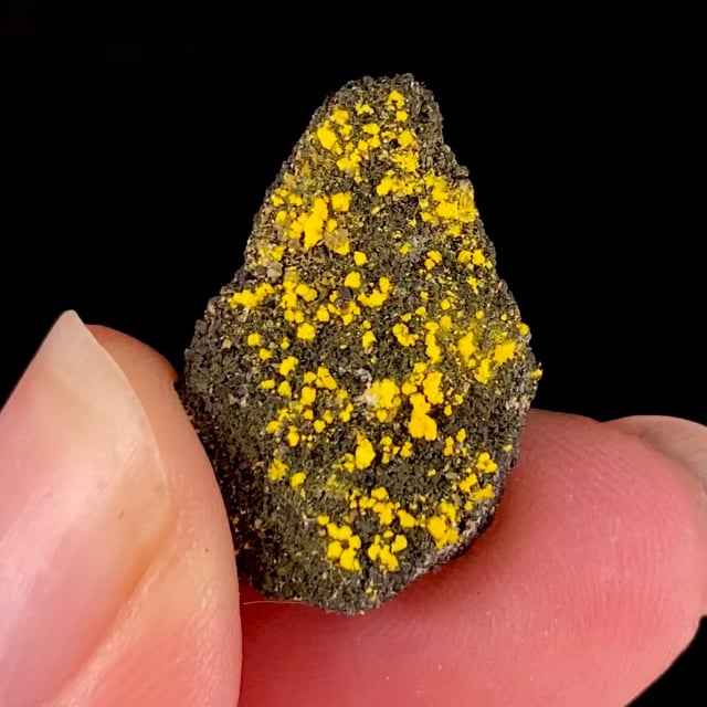 Zippeite (RARE locality specimen) | Woodrow Mine, Laguna Subdistrict ...