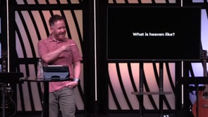 Week 20 - The Revelation