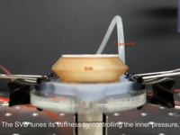 Newswise:Video Embedded sponge-makes-robotic-device-a-soft-touch