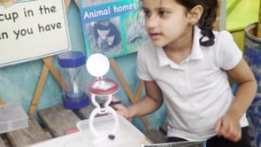 Observing a bee – ELGs thumbnail