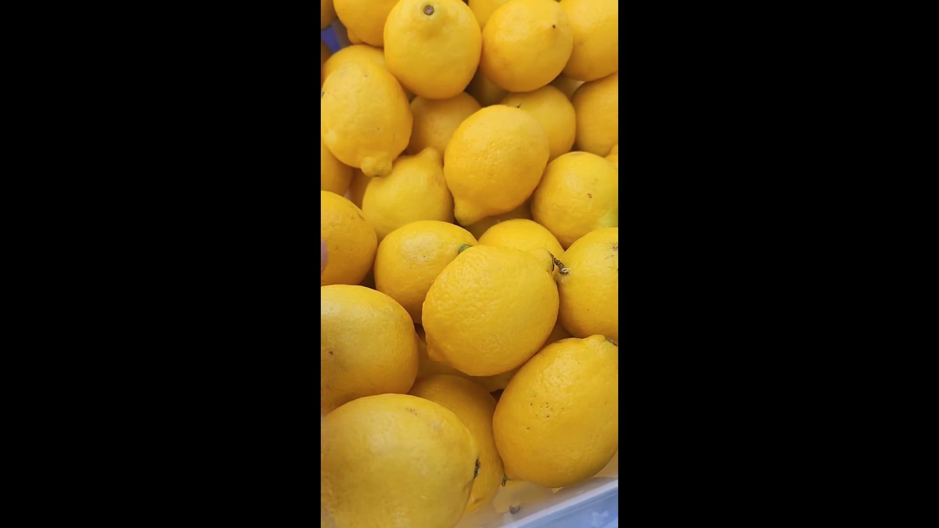 Fresh Lemonade Holden Beach Lemonade Company