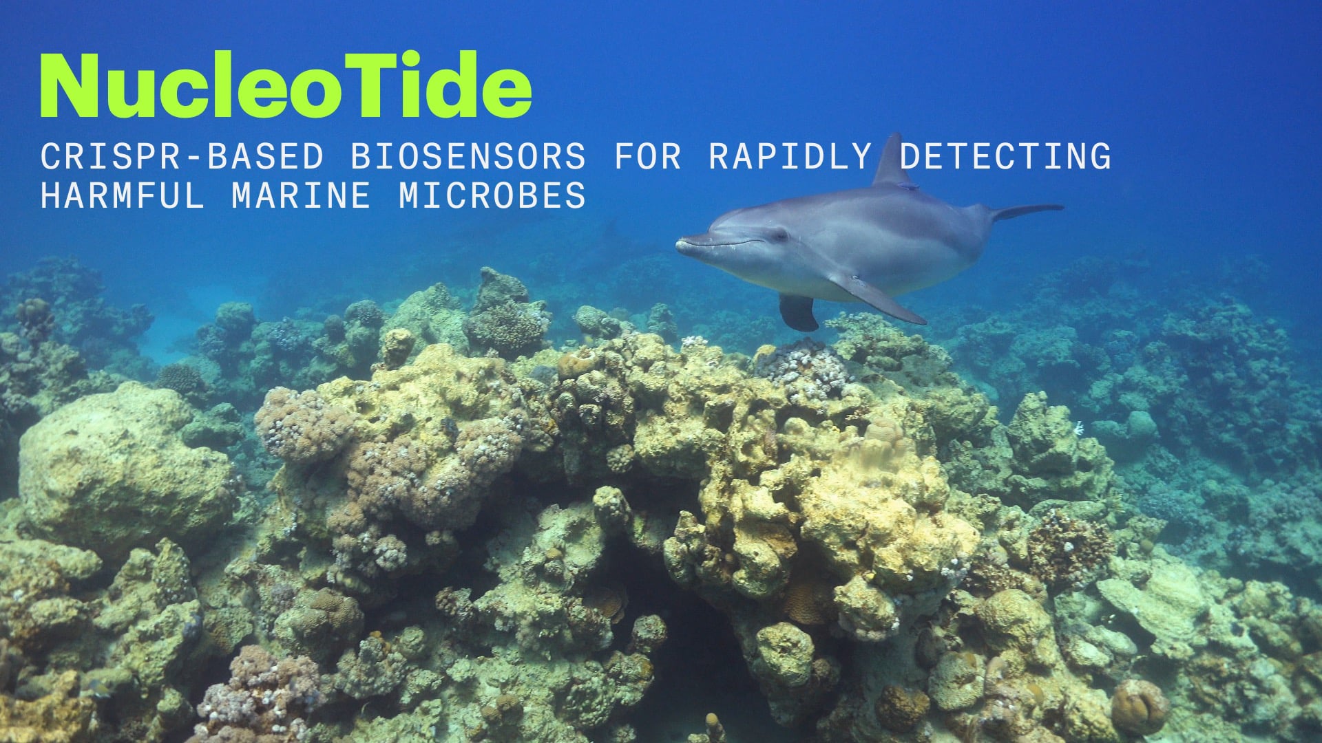 NucleoTide - CRISPR-based biosensors for rapidly detecting harmful marine microbes