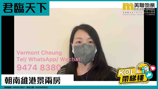 朝南維港景兩房