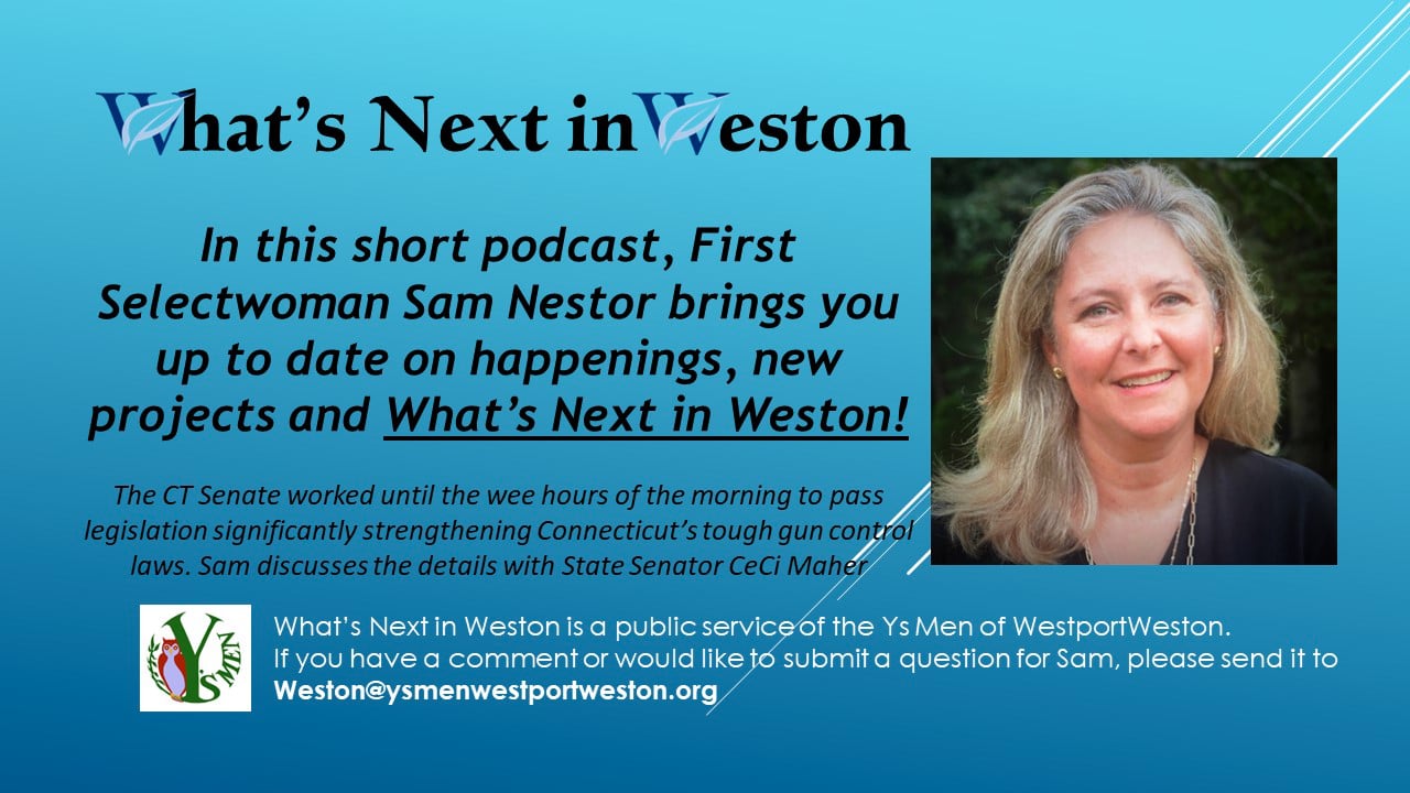 What's Next in Weston - Ceci Maher on Gun Control Legislation on Vimeo