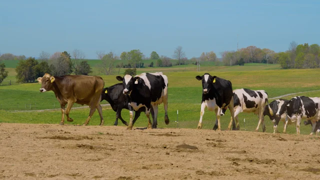 Prairie Farms And Ranches