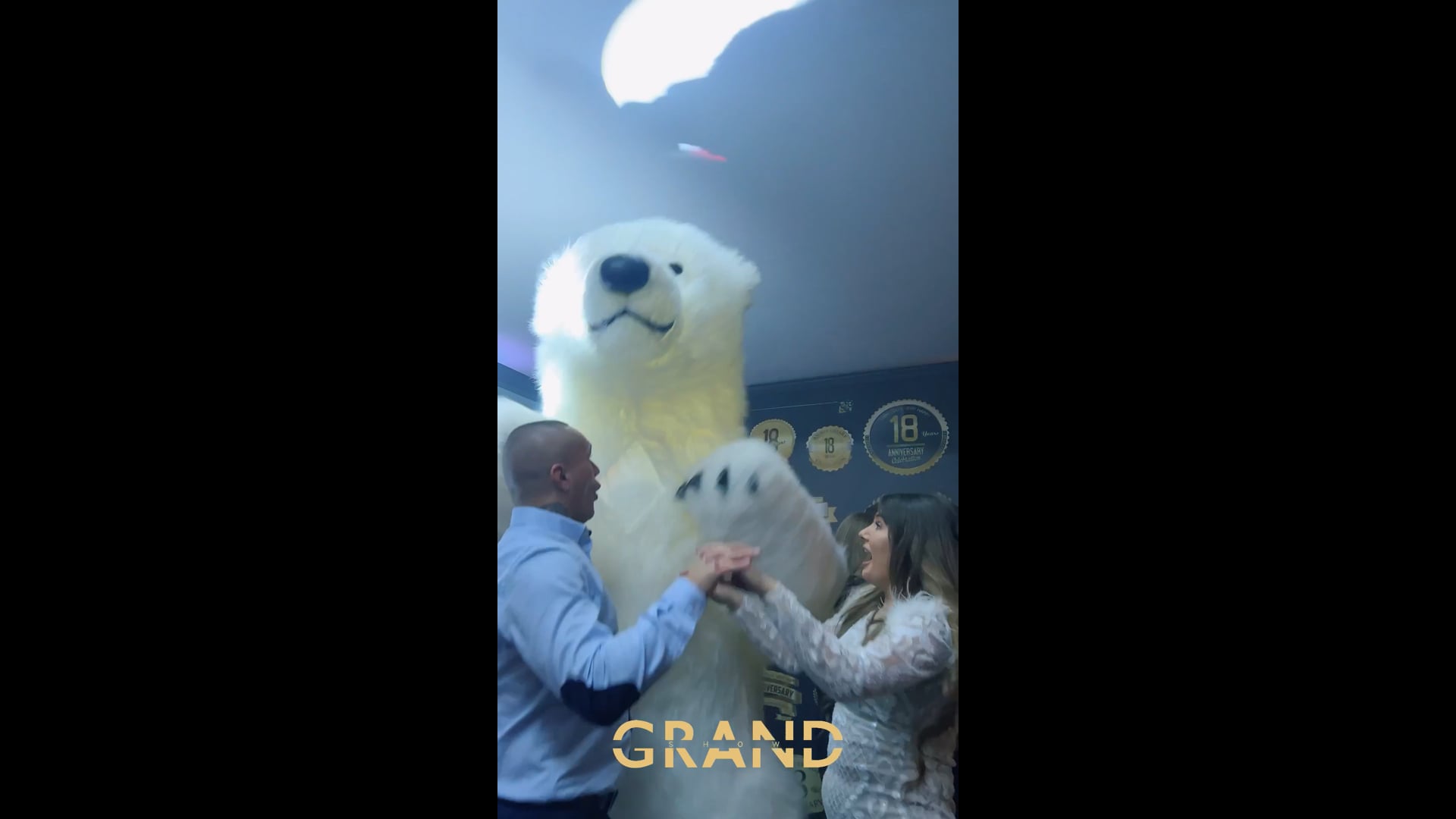 Promotional video thumbnail 5 for Dancing Polar Bear
