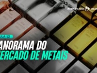 Aula 12: Panorama do Mercado de Metais