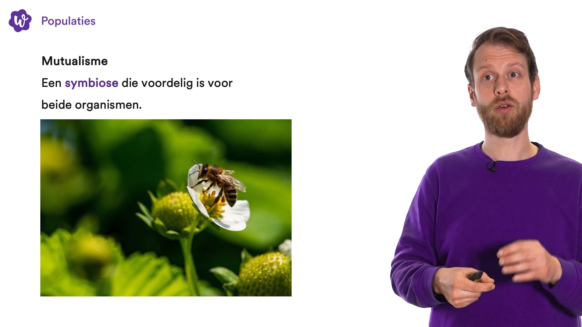Populaties (BvJ) oefenen | StudyGo