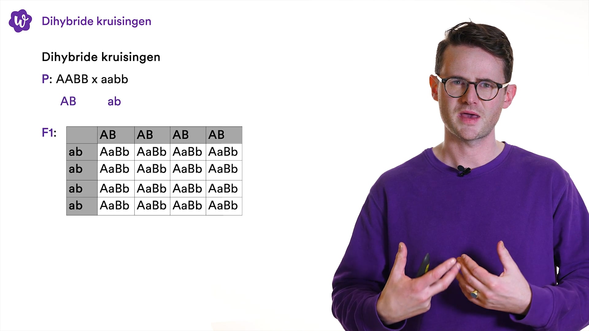 Dihybride kruisingen oefenen | StudyGo