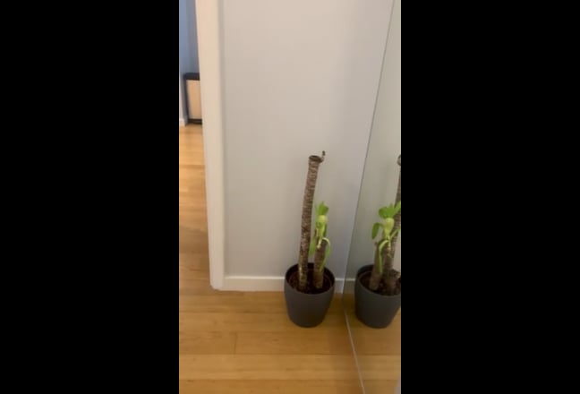 2 bedroom 2 bathroom apartment with large patio. Main Photo