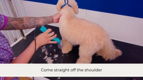 Related Embedded Video Item Thumbnail