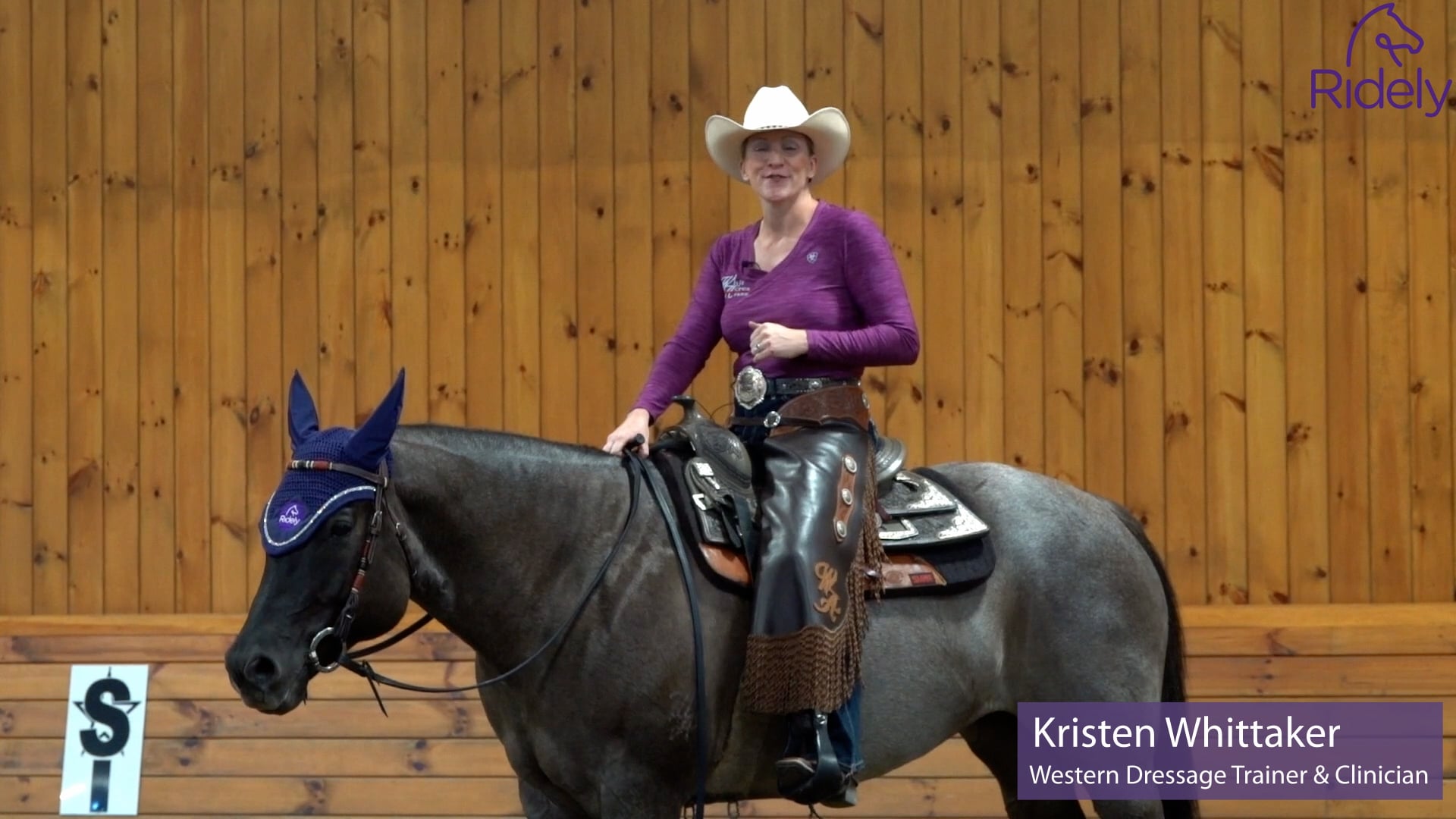Creating Lightness and Carriage (part two) | Ridely