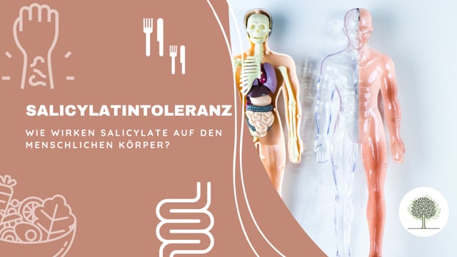 Wie wirken Salicylate auf den menschlichen Körper?