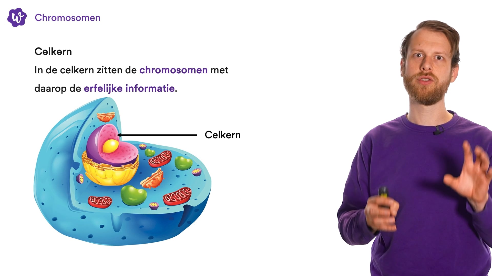 Oefen Met Organen En Cellen Uit Biologie Voor Jou / Bvj – 3 Vmbo-t – 8 ...