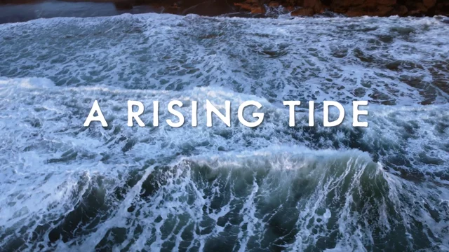Rising Tide