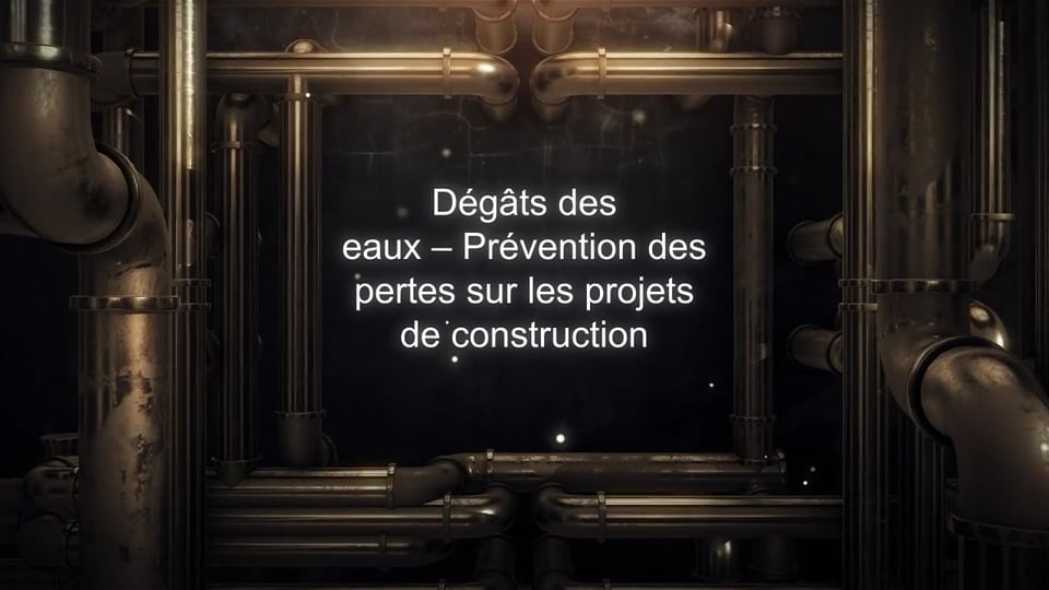 Paragon_Water Damage_French Paragon_WaterDamage_French on Vimeo