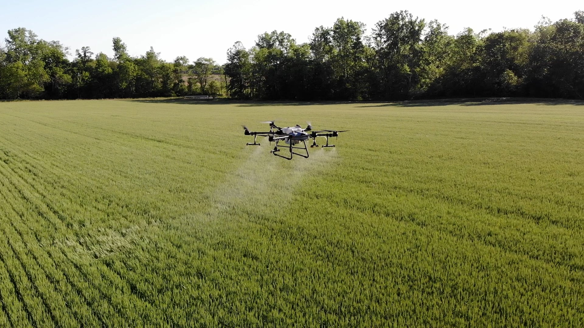 JJ Drones