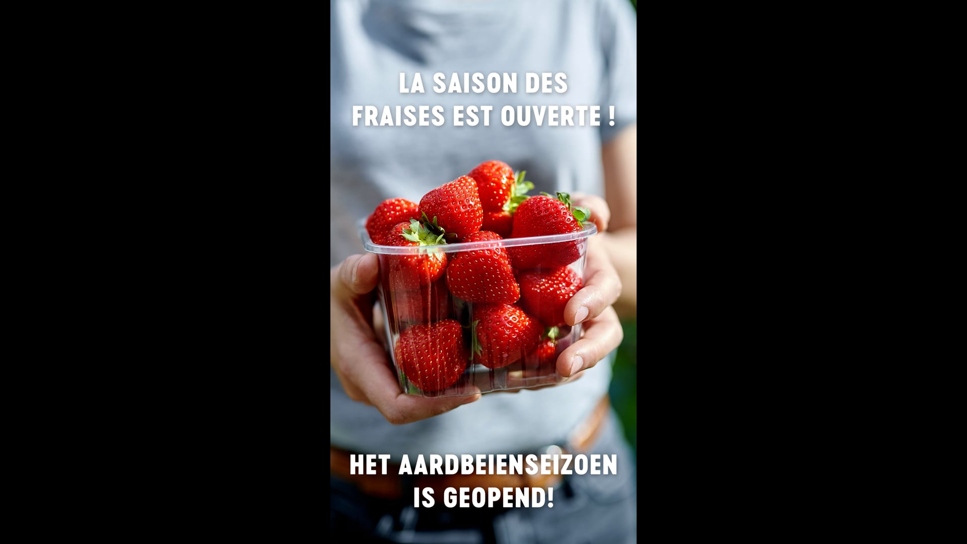 Reel pour Delhaize