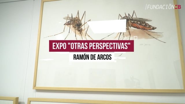 Exposición "Otras perspectivas" Ramón de Arcos