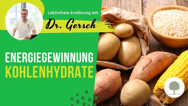 Ich hatte mal gelernt die Energiegewinnung des Körpers findet im Feuer der Kohlenhydrate statt. Stimmt das?