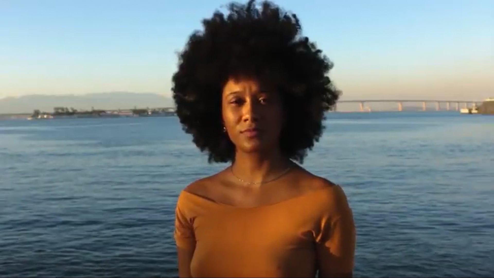 Dani Câmara_Video Currículo