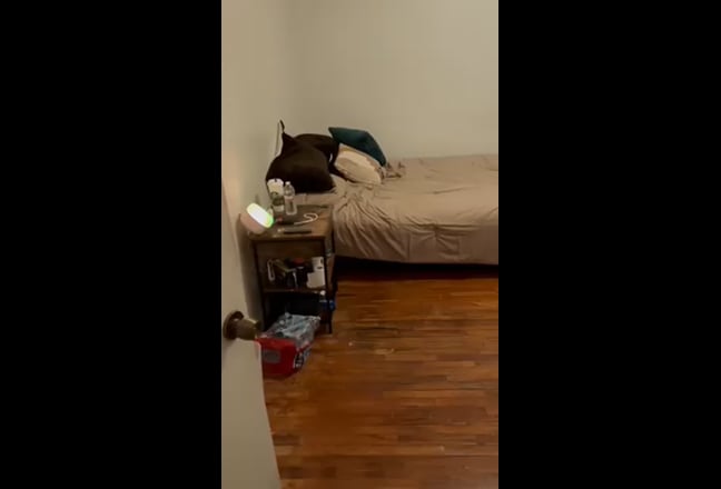 Cute apartment in Noho  Main Photo