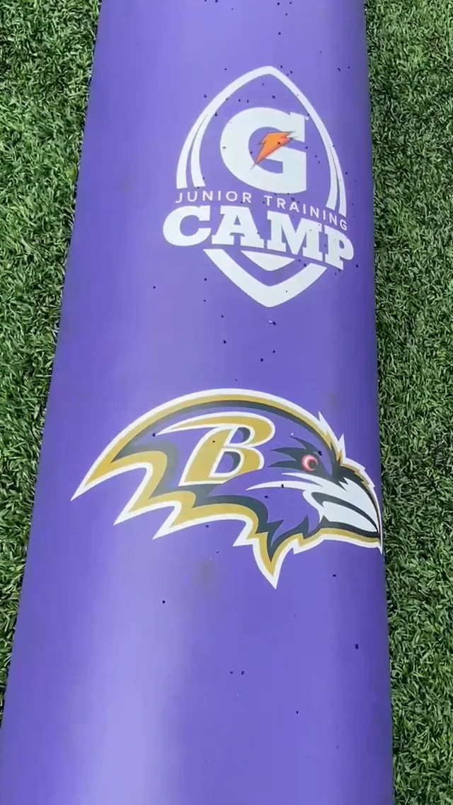 Baltimore Ravens Orioles Cornhole Wraps