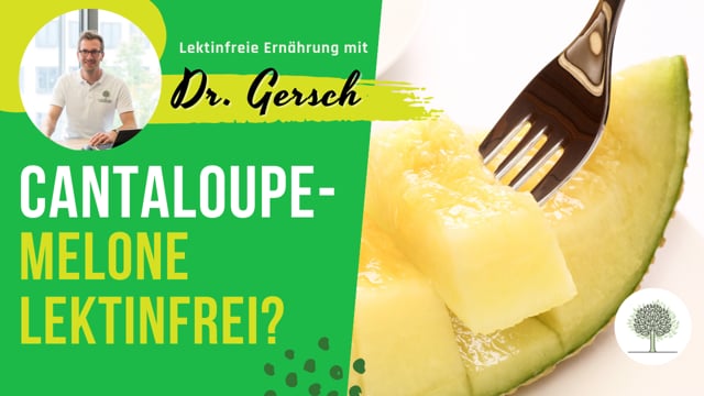 Ist eine Cantaloupe-Melone lektinfrei, wenn ich die Kerne in der Mitte rausschneide und die Schale entferne? 