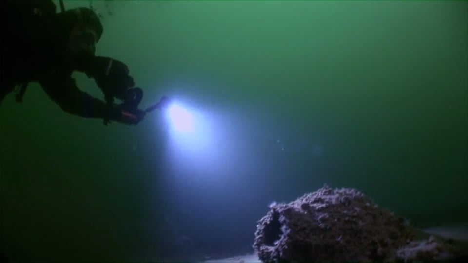 Watch DEADLY DEPTHS Online  Vimeo On Demand on Vimeo