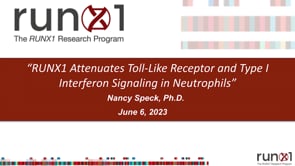 RUNX1 Attenuates Toll-Like Receptor and Type I Interferon Signaling in Neutrophils