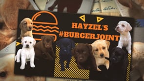 Hayzel's #BurgerJoint Puppies          Heading Home