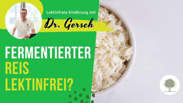 Ist fermentierter Reis (in Masala Dosa) lektinfrei?