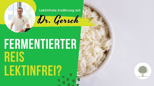 Ist fermentierter Reis (in Masala Dosa) lektinfrei? 