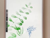 Ornamental Watercolor Stamps, a Brush Add-On by Relic Images (Thumbnail 2 of 7)