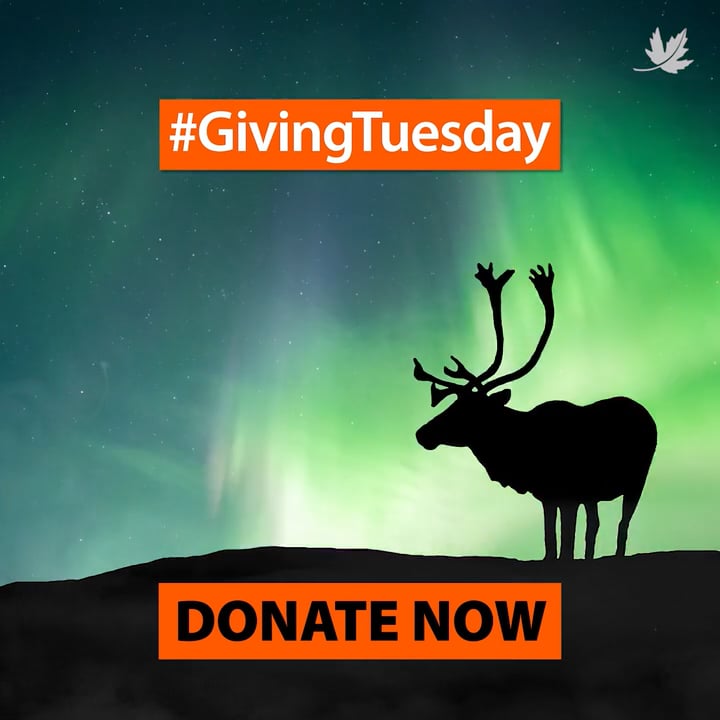Nature Conservancy of Canada - Giving Tuesday 2022 (Ad Version 1:1) on ...