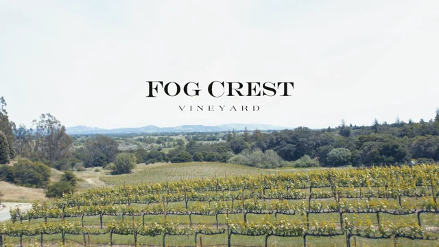 Fog Crest Vineyard Welcome