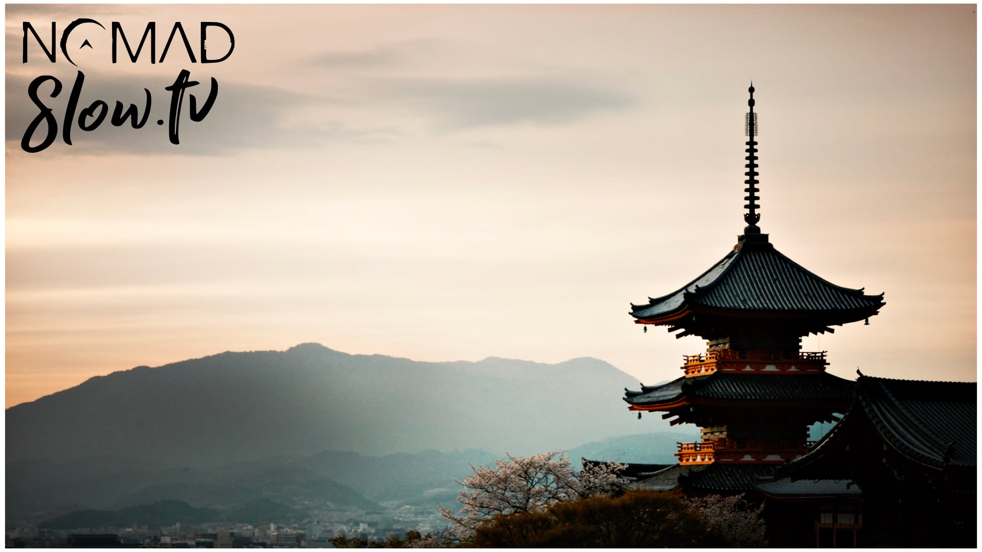 Japan Spring 05 - Kyoto Sakura - Cherry Blossom